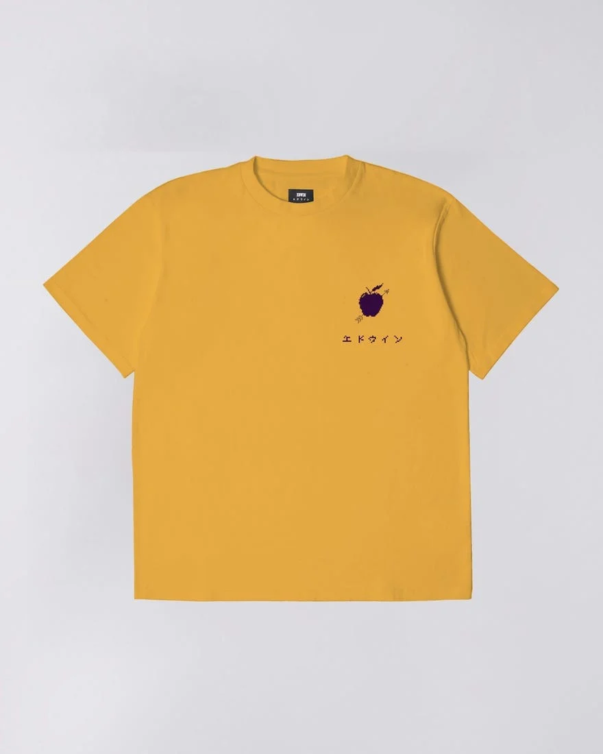 APPLE 666 TS