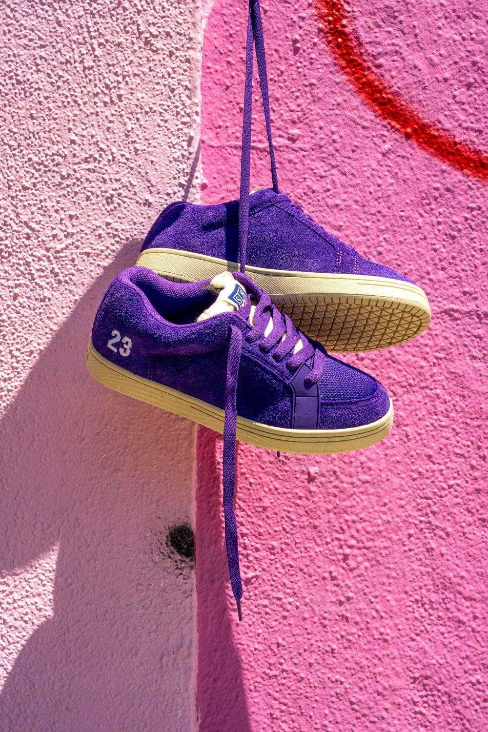 Sal23 - Image 7