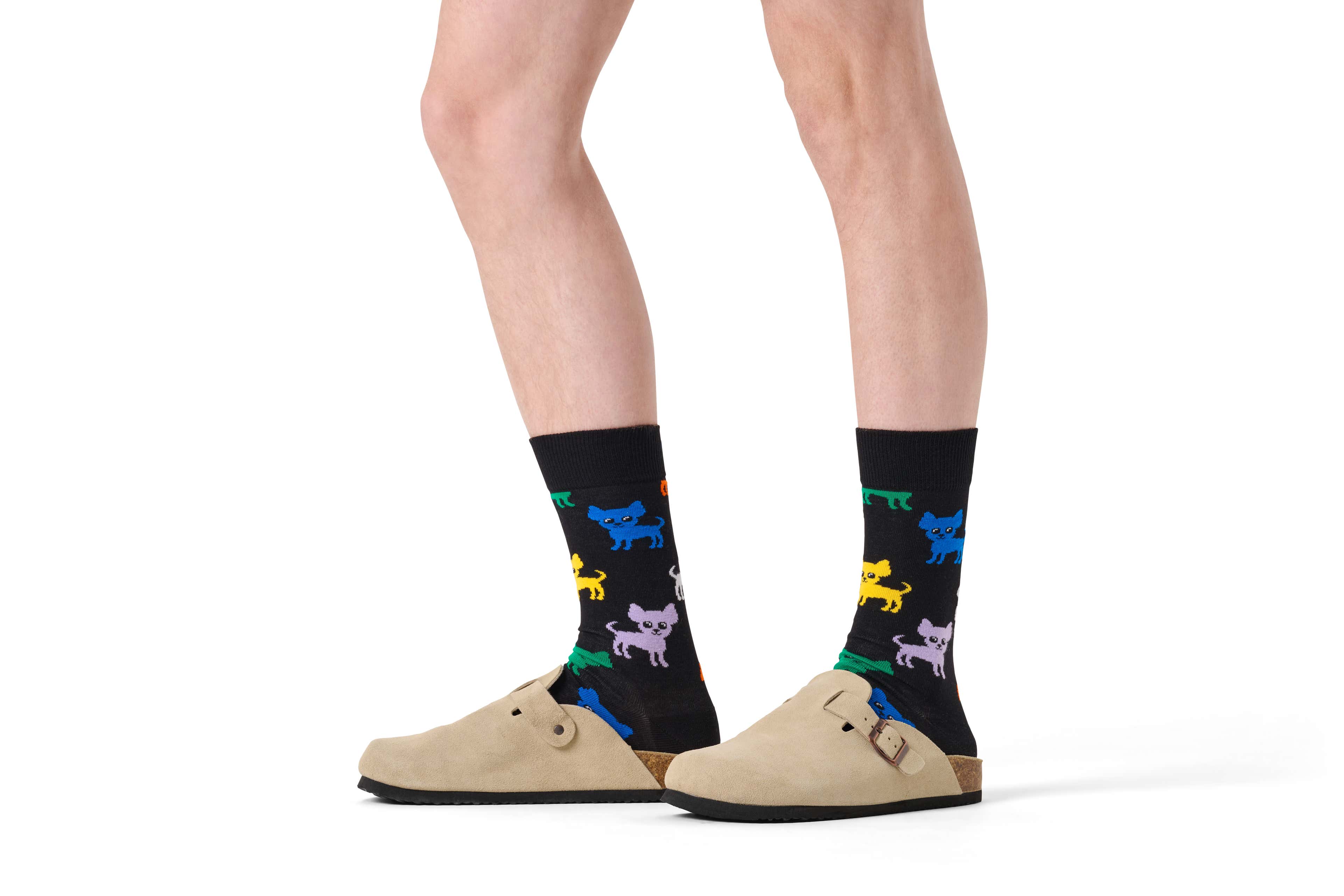 Chihuahua Sock - Image 2