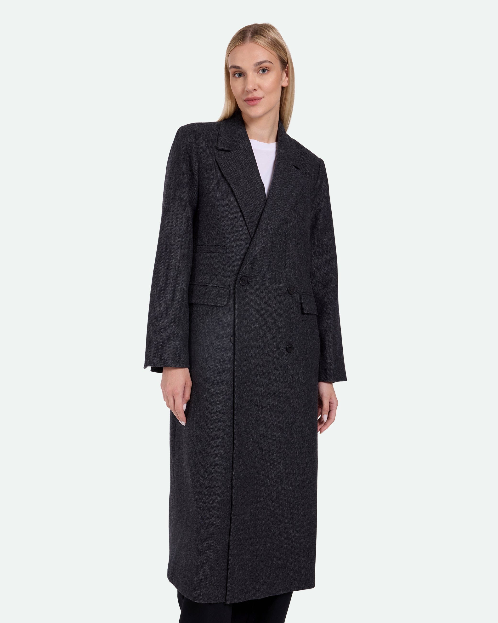 Delphines 3793
