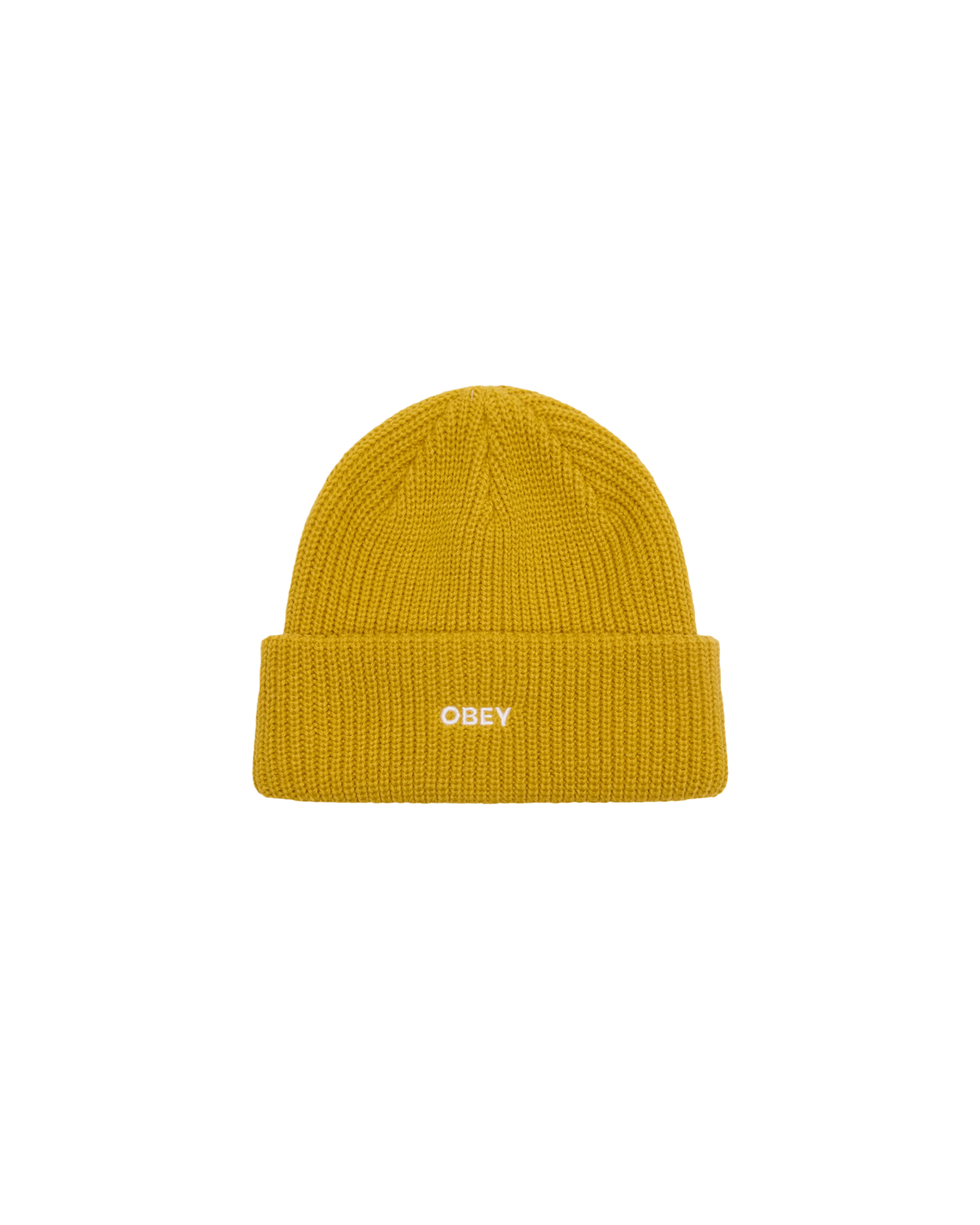 Future Beanie