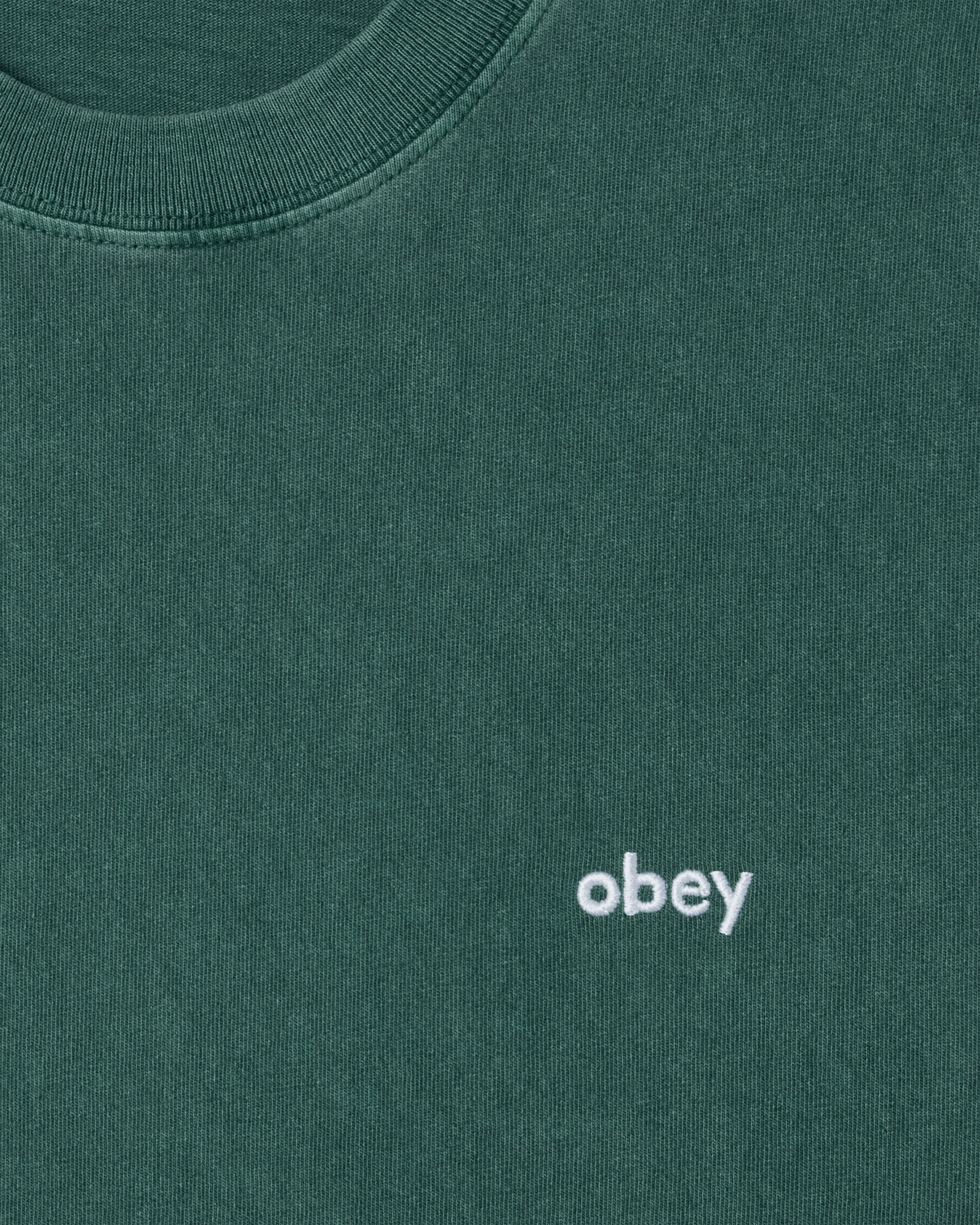 Lowercase Pigment Tee Ss - Image 3