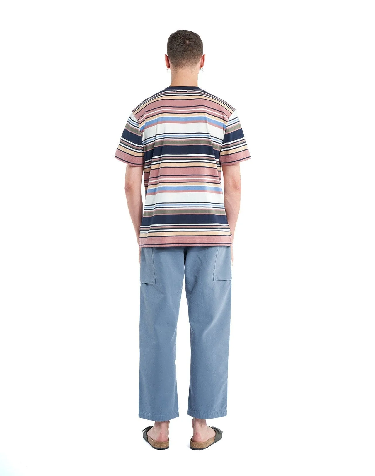 OLLIE - Image 6