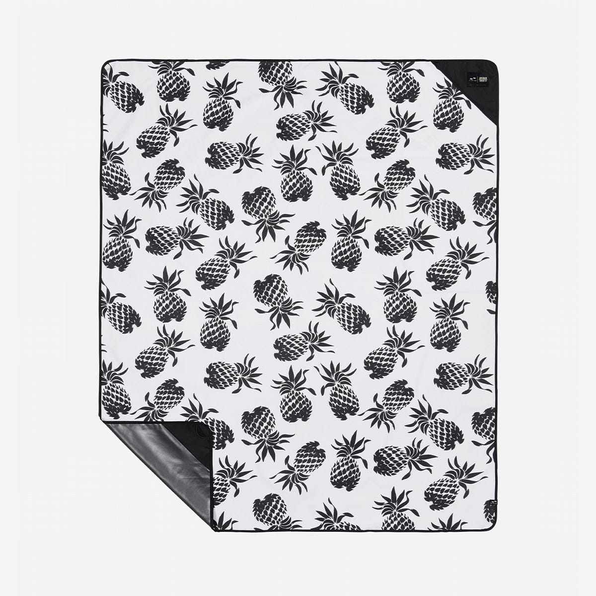 Pineapps Park Blanket