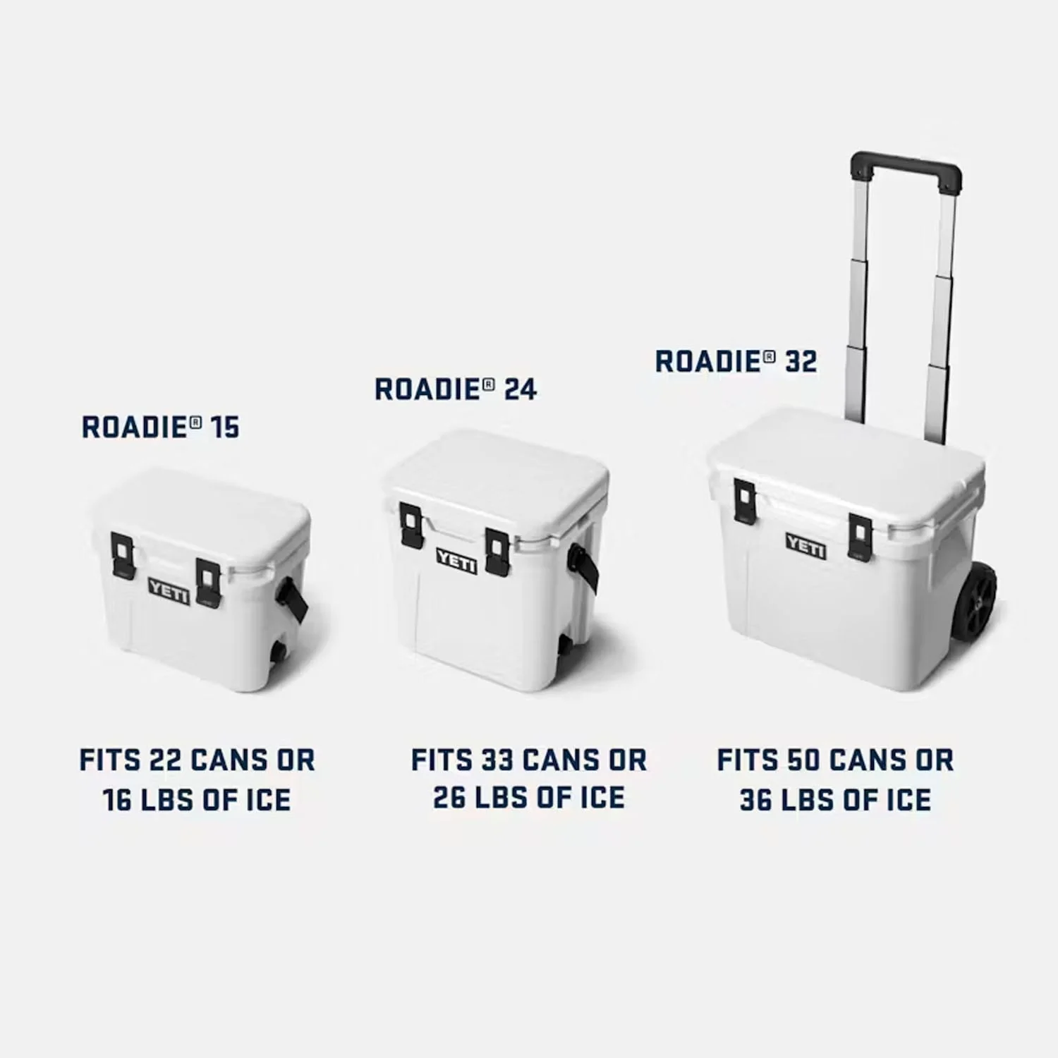Roadie 15 - Image 10